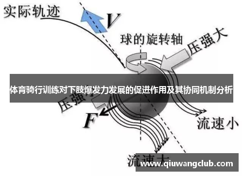 体育骑行训练对下肢爆发力发展的促进作用及其协同机制分析
